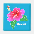 Search for hawaii magnets Hibiscus