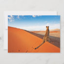 Search for africa thank you cards Savannah