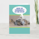 Search for funny cat fathers day cards Pet