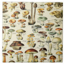 Search for earth tones tiles Trendy