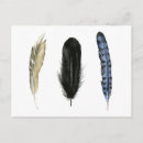 Search for feathering postcards Nature