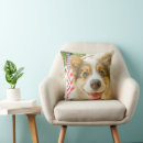 Search for corgi cushions Puppy