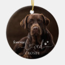 Search for loss pet memorial ornaments Dog