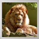 Search for lion design posters Motivational