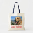 Search for retriever bags Golden retriever puppy