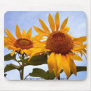 Search for suns mousepads Sunny