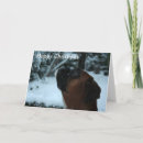 Search for boxer dog christmas cards Snow