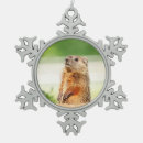 Search for woodchuck christmas tree decorations Animal