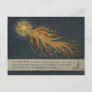 Search for comets postcards Astronomy