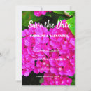 Search for hydrangea flowers photography Summer