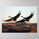 Search for apache posters Animals