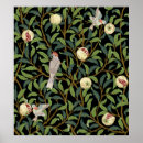 Search for pomegranate fruit posters Antique