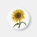 Search for sunshine flower magnets Watercolor