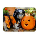 Search for halloween rectangular magnets Birthday