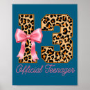 Search for 13th birthday posters Pink