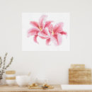 Search for stargazer lily posters White