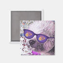 Search for frise magnets Funny