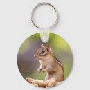 Search for chipmunk key rings Animal