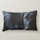 Search for black labrador cushions Cute