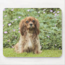 Search for ruby mousepads Dog