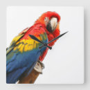 Search for bird scarlet macaw parrot art Wild