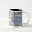 Search for andalusia coffee mugs Outdoors