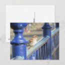 Search for sparrow postcards Brown