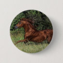 Search for arabs badges Equestrian
