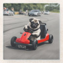 Search for pug coasters Funny