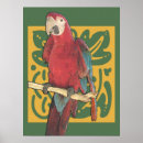 Search for bird scarlet macaw parrot art Tropical