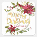 Search for red and white poinsettia stickers Watercolor