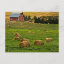 Search for hay barn postcards Agriculture