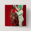 Search for decorating badges Animal