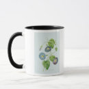 Search for morning glory mugs Botanical