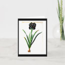 Search for pierre joseph cards Botanical