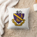 Search for college logo cushions Phi chi theta alumni