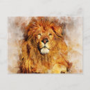 Search for lions mane postcards Male