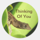 Search for cute friendship stickers Thinking of you