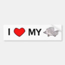 Search for hedgehogs bumper stickers Animals