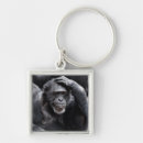 Search for chimpanzees key rings Primates