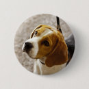Search for hound puppy badges Dog