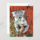Search for snacking postcards Cute