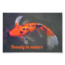 Search for water color painting posters Fish