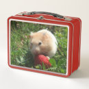 Search for hammie Adorable