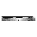 Search for apollo 17 art Exploration