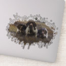 Search for german shorthair pointer stickers Hunting