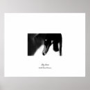 Search for black swan posters Lake