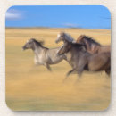 Search for speed coasters Outdoors