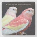 Search for parakeet coasters Bird