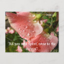 Search for sweet pea flowers postcards Floral